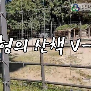 개별ILP 2회차 활동 산책 브이로그 - 어린이대공원 동물사