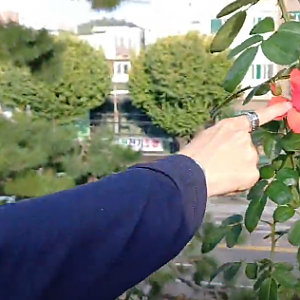 개별ILP 산책 V-log 비하인드