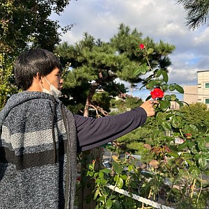 개별ILP 산책브이로그 4회차 - 중랑장미공원