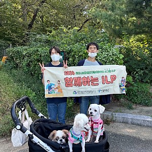 개별ILP_ 8회차 (반려견 산책)